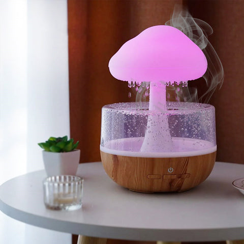 Rain Cloud Humidifier Rain Cloud Humidifier
