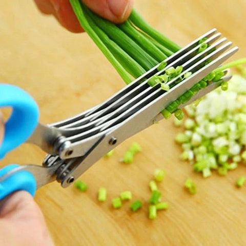 Food Scissor Stainless Steel With Cleaning Comb Food Scissor Stainless Steel With Cleaning Comb