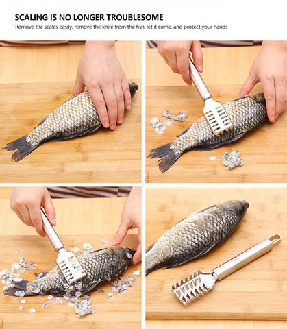 Fish Scale Remover Stainless Steel Fish Scale Remover Stainless Steel