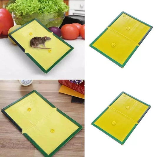 1 Pc Mouse Glue Traps Expert Catch