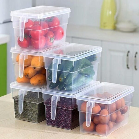 Frize Box Storage Freezer Box with Handle – Household Utensils