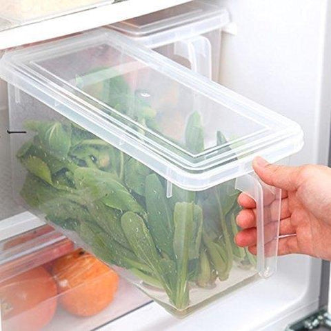 Storage Freezer Box with Handle