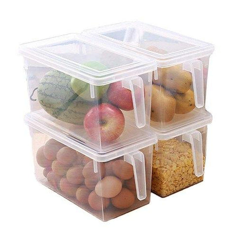 Storage Freezer Box with Handle